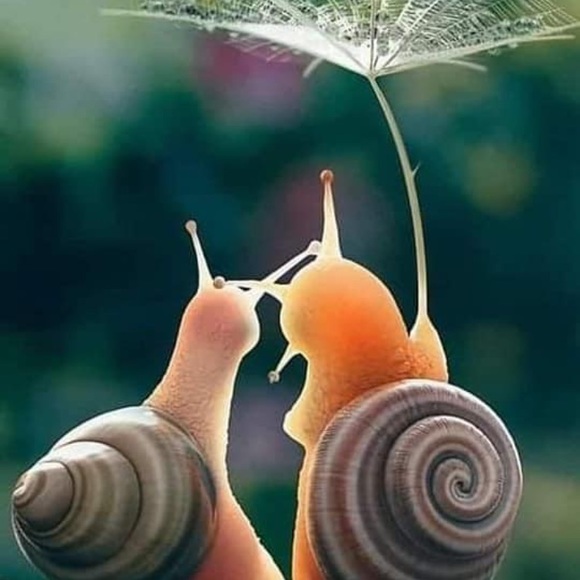 Meet your Posher, Lindsay B - Picture 8 of 15